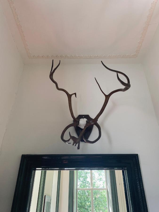 Pastorie Tijdverblijf Zuidhorn Luaran gambar